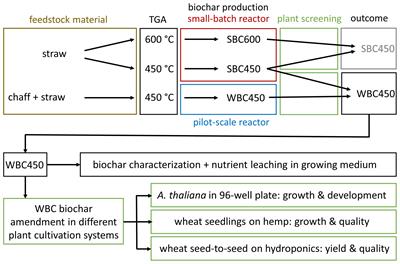 From crop left-overs to nutrient resource: growth-stimulating potential of biochar in nutrient solutions for wheat soilless cultivation systems